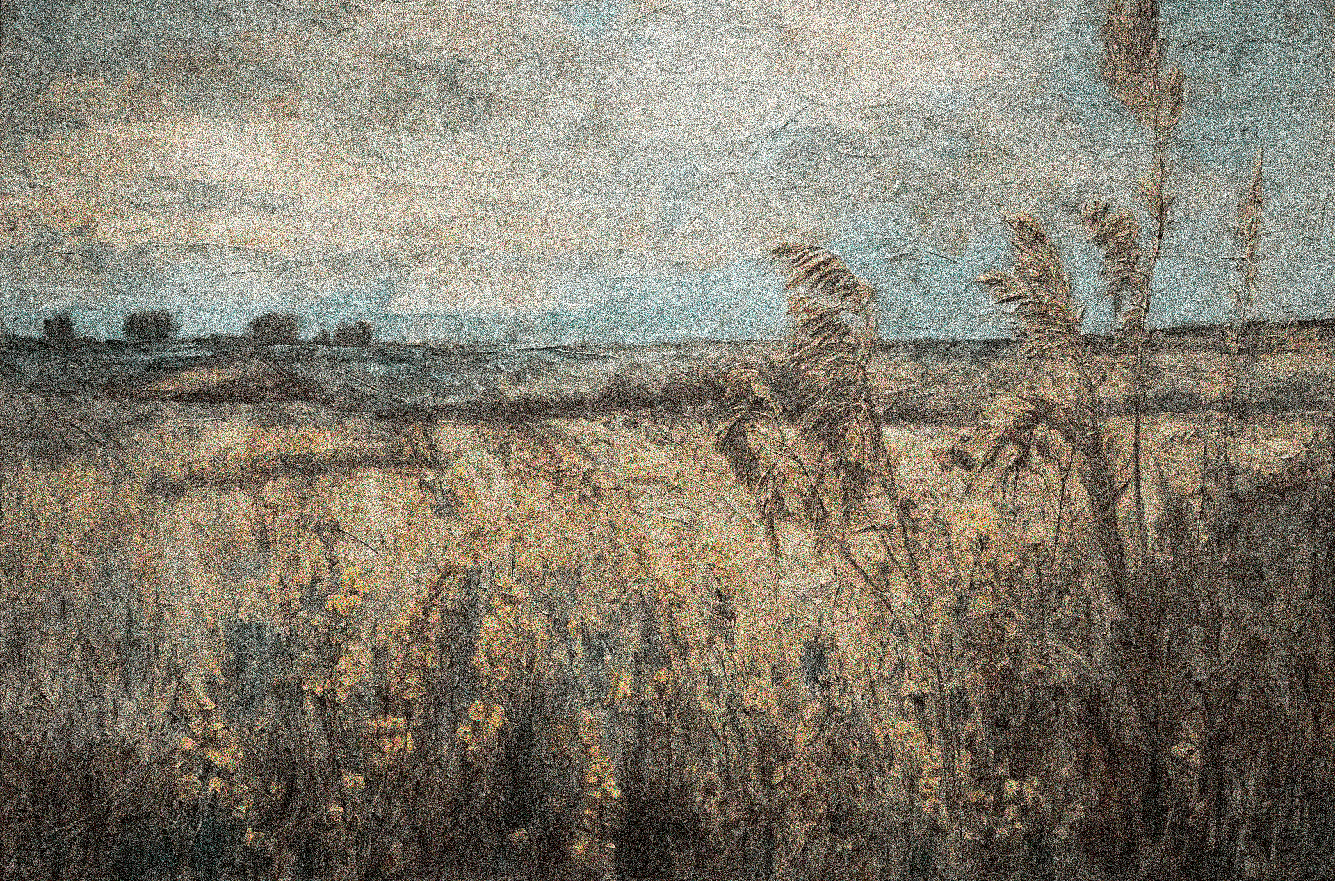 Background Probability